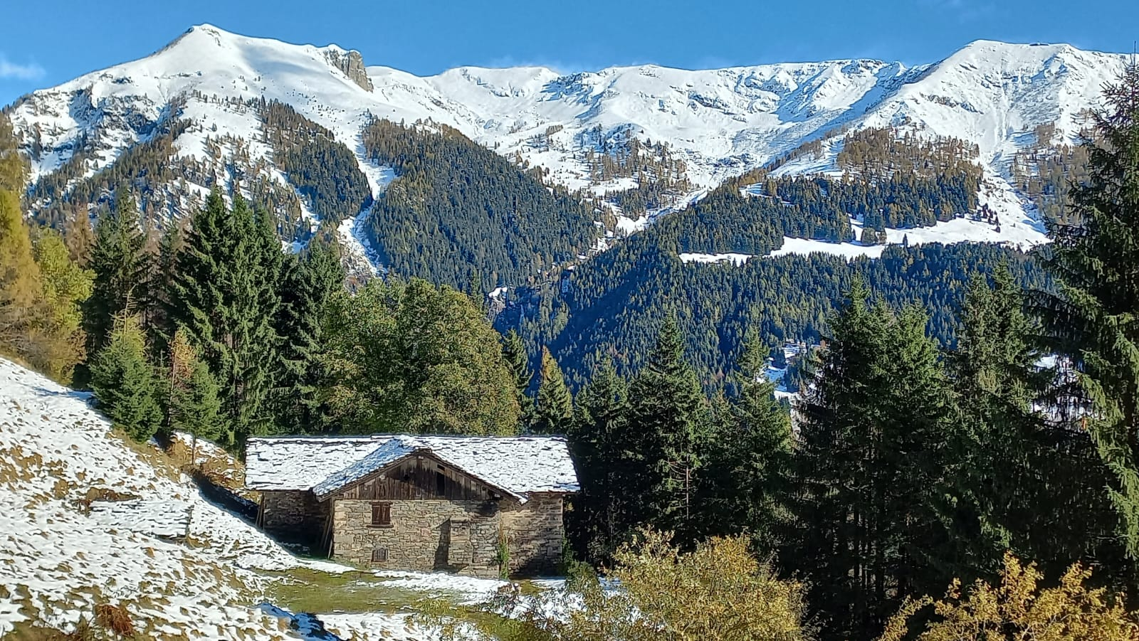 La cascina a novembre 2023